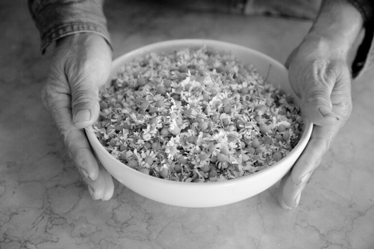 Antonio-chamomile-hands-D94A5793