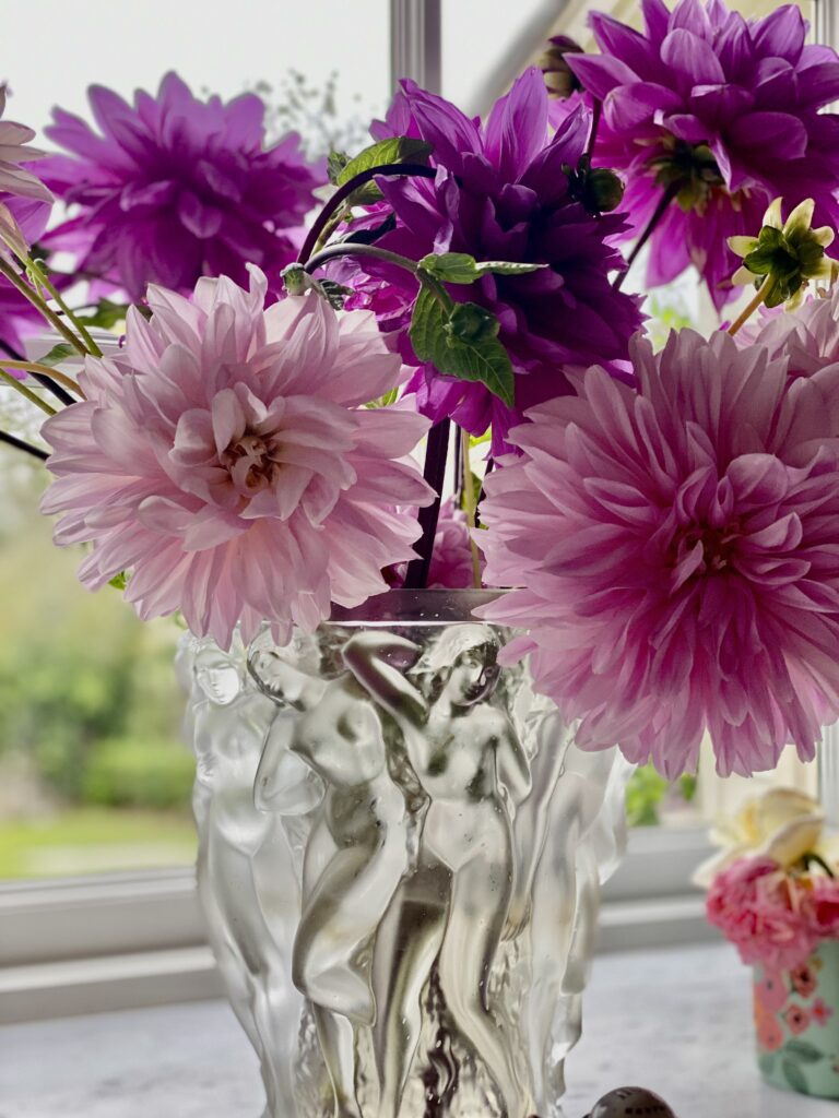 67889480887__4F388F11-5BBD-4B11-A9A6-C122980C3D46